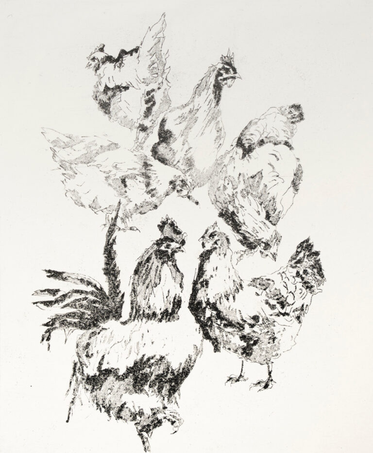 Shionagh Primrose OS Chickens 768x933
