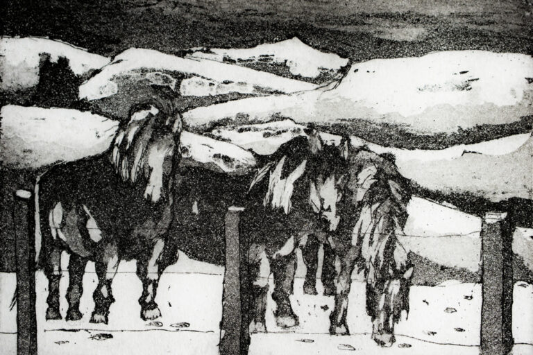 Shionagh Primrose OS Langside Ponies 768x512