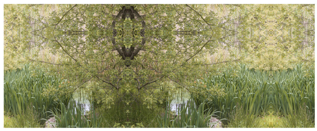 tim cracknell wetland 1024x426