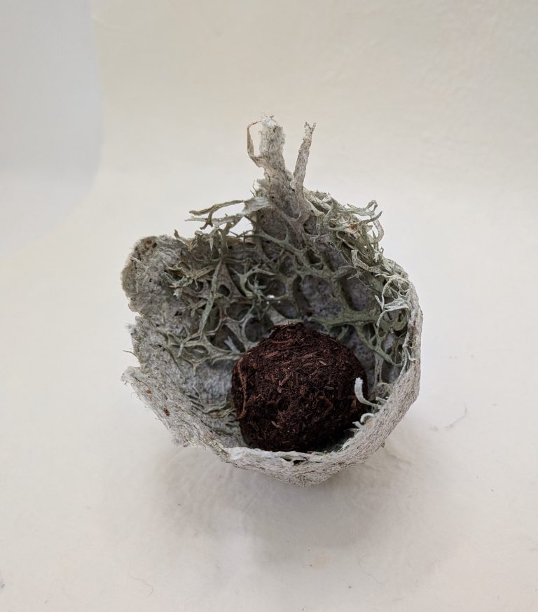 Forest floor 768x874