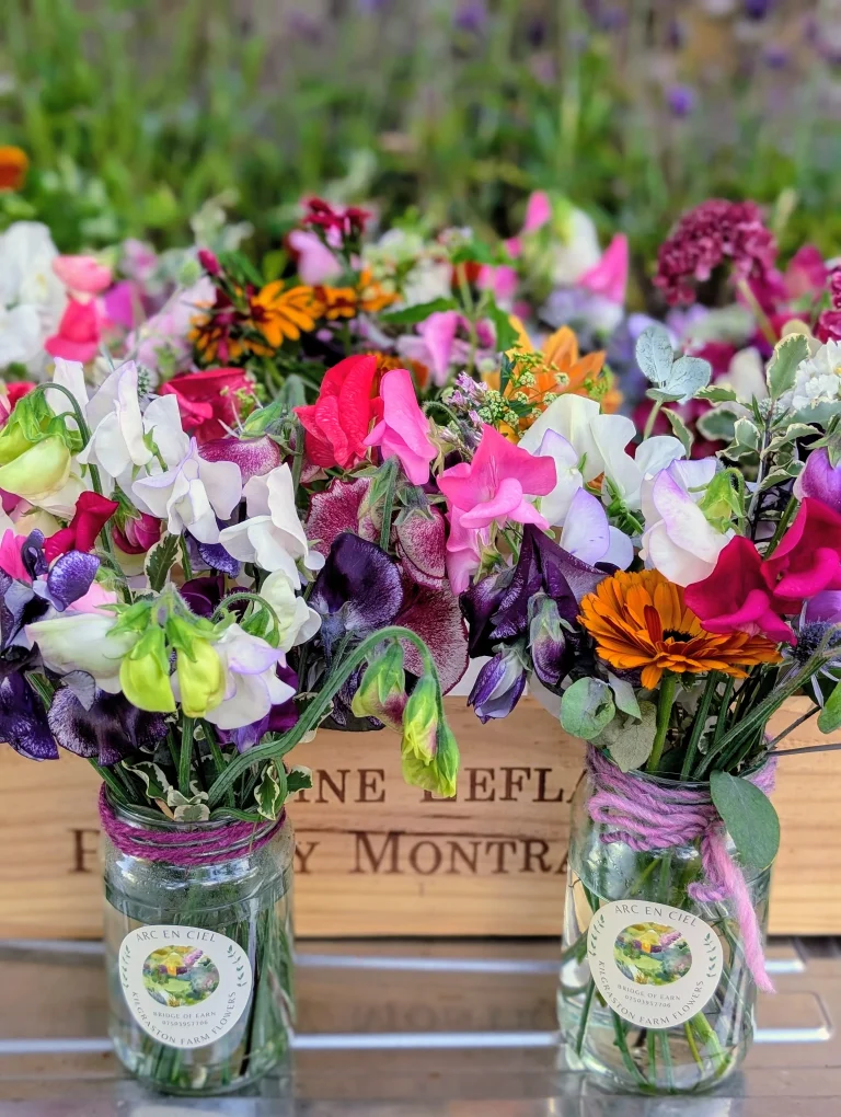 Kilgraston Flowers home grown 768x1020