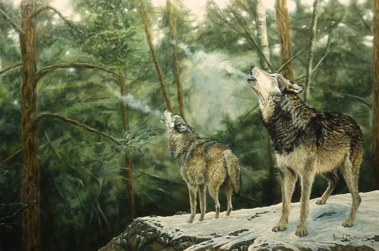 OS DavidMackenzie Duet 768x508