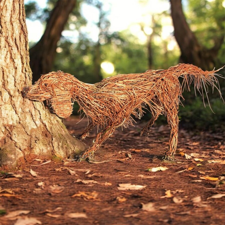 Photoroom 20260221 182530 2 1 768x768