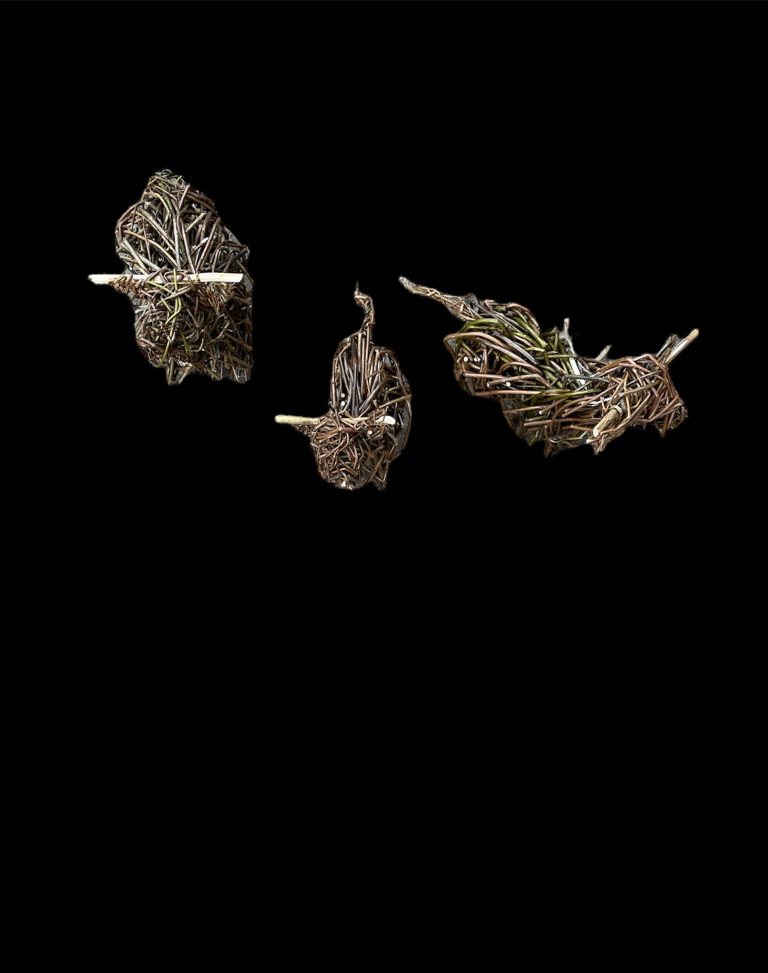 wwminimoos 768x973