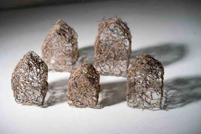 Community of Individuals 1 768x512