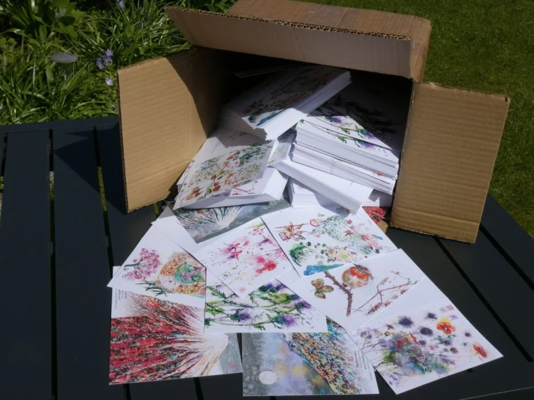 OS lizdulleystudio 10 cards 768x576
