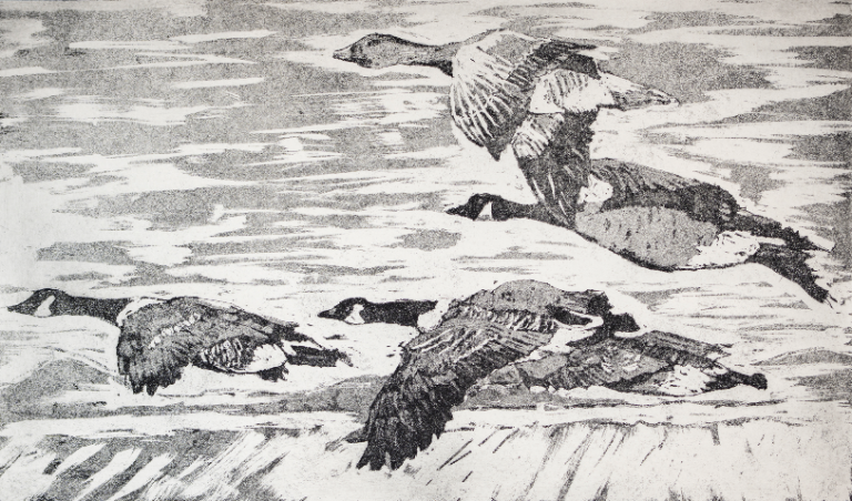 OS sprimroseprints Geese.webp 768x452