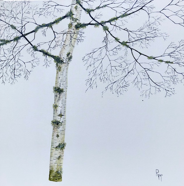 Rochelle McConnachie – Silvan Lichen
